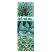 Ackermann Sukkulenten Triplet-Kalender 2026 Kakteen Agaven | Co|Kalender