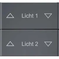 Eltako Doppelwippe DW-FF8-anth-lack-at