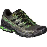La Sportiva Ultra Raptor Ii GTX metal/flash green 48 - 48