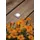 Paulmann Bodeneinbauleuchte LED Edelstahl 50x50mm 2W 60lm IP67 silber