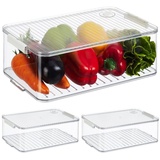Relaxdays Kühlschrank Organizer, 3er Set, Kühlschrankeinsätze mit Deckel & Datum, HxBxT: 10,5 x 21 x 33 cm, transparent