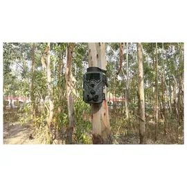 Braun Photo Technik Scouting Cam Black1300 WiFi