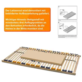 Coemo Lattenrost MULTIRA 26 Federleisten starr 100x190cm