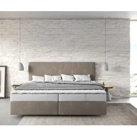 DeLife Dream-Well Mikrofaser 200 x 200 cm H2 beige