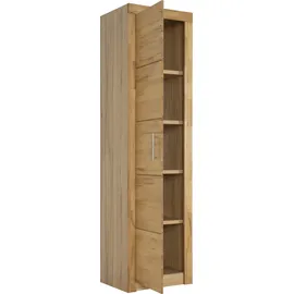 vogl möbelfabrik Toronto Aktenschrank 52 cm x 42 cm x 189,5 cm beige