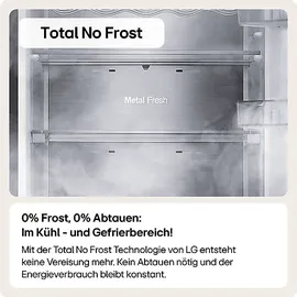 LG GBV5240CPY Kühl-Gefrierkombination (387 l, 2030 mm hoch, Silber)