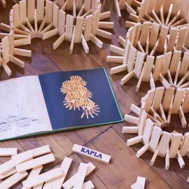 Kapla Buch Nr. 3 Leichte Architektur für die Kinder ab Drei (grün)