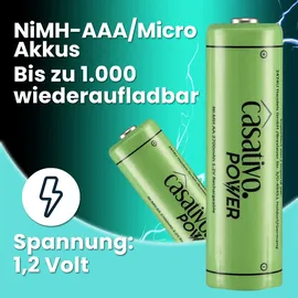 casativo-power AAA 1100 mAh 20 St.