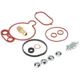 DR.MOTOR AUTOMOTIVE Reparatursatz, Unterdruckpumpe (Bremsanlage)