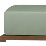 SCHIESSER Spannbettlaken Jersey 100 x 200 cm Hellgrün