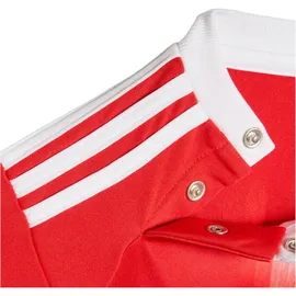 adidas FC Bayern München Trainingsanzug 2025/26 rot Kinder Gr. 68