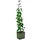 Gusta Garden Curt Cucumber Gurkentopf 35 x 138 x 28 cm dunkelgrün