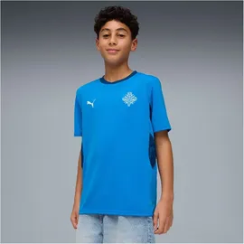 Puma Island Heimtrikot 2026 Trainingsshirt blau Kinder Gr. 152