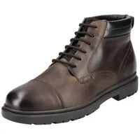 GEOX Stiefelette in Coffee | Gr.: 45
