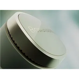Bowers & Wilkins Pi8 Jade Green
