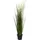 naturn living Kunstrasen Pampasgras - ø 13 x 90 cm - Cortaderia Selloana - Kunstpflanze - Wartungsfreies Pampasgras - Grün