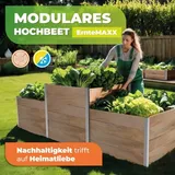 Bio Green Biogreen Aluminium T-Profil 625 mm Silber