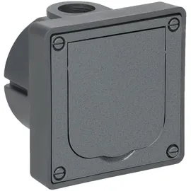 Busch-Jaeger Schuko-Steckdose 20 EFDB2 Grau 1 St.