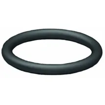 GESIPA Blindniettechnik GmbH O-Ring 21,5 x 1,5