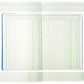 Exacompta 17020E Mehrkolonnenheft 2 Spalten 1 Seite 34 Zeilen 40 Blatt, 110g, A4 80 Seiten