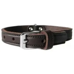 Das Lederband Hundehalsband Weinheim, mocca, 62 cm x 25 mm