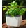 Gusta Garden Herbs Buddy 15,3 x 14,8 x 16,5 cm Weiß
