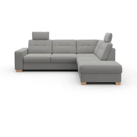 sit&more Ecksofa SIT & MORE "Quincy L-Form", silber, B:249cm H:82cm T:213cm, Sofas, Ecksofa, wahlweise mit Bettfunktion und Bettkasten