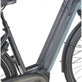 Prophete Geniesser 4.0 28 Zoll RH 48 cm Schwarz Matt/Silber