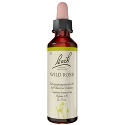 Bachblüten Wild Rose Tropfen