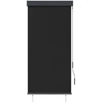 vidaXL Außenrollo 80 x 250 cm Anthrazit