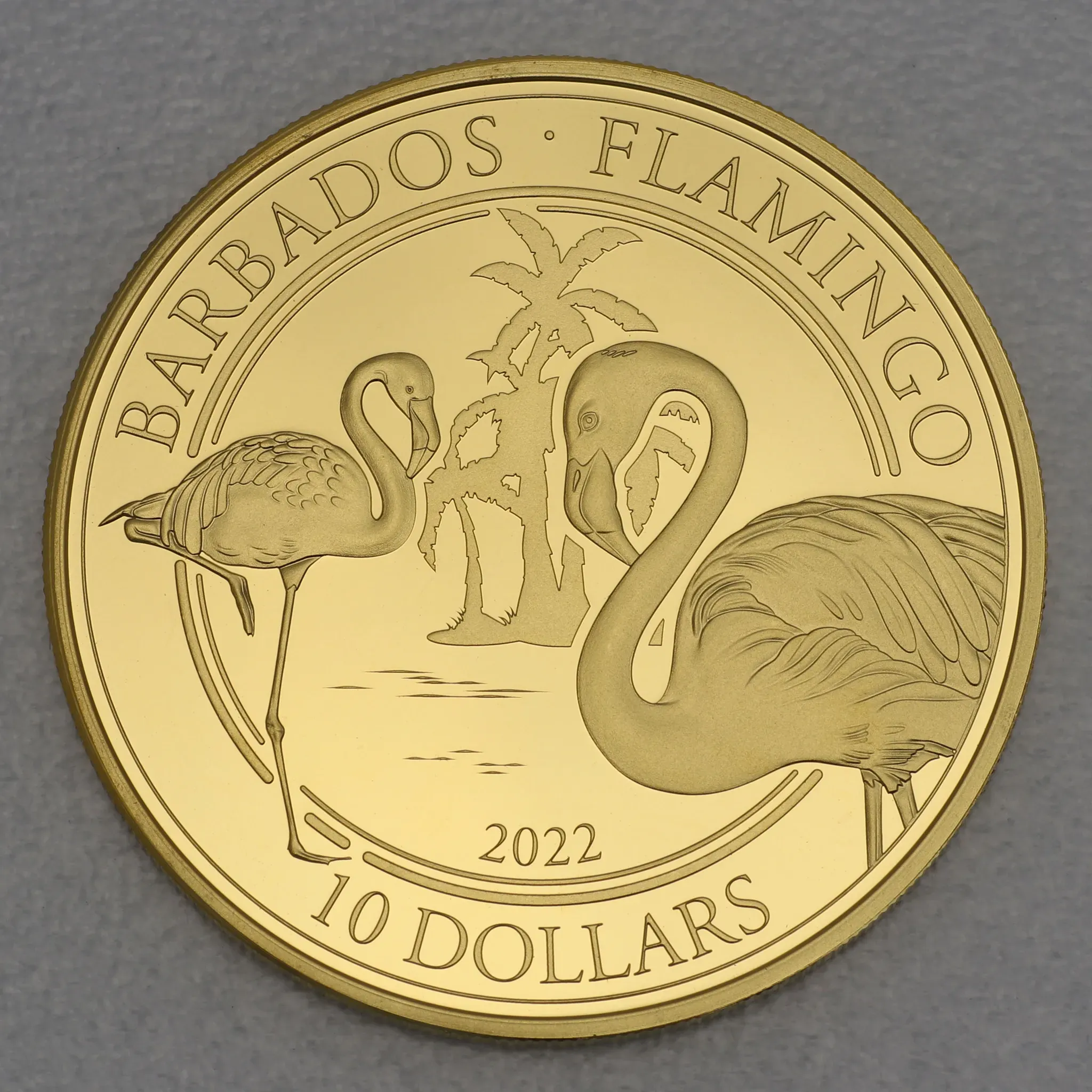 Goldmünze 1oz American Flamingo 2022 (Barbados)