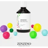 SET 2 stück ZinZino BalanceOil Tutti Frutti Geschmack - mit Omega-3, Omega-9, Vitamin D3