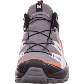 Salomon X Ultra 360 GTX Herren Quiet Shade/Black/Spice Route 47 1/3