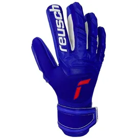 Reusch Torwarthandschuhe Attrakt Freegel Silver blau 9,5