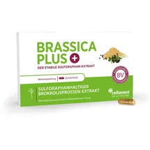 Cellavent Healthcare Brassica PLUS Kapseln