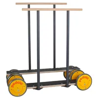 Pedalo Koordinationstrainer Reha Bar S