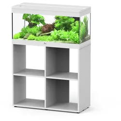 Aquatlantis Prestige 80 Stand Aquarium mit Unterschrank weiß