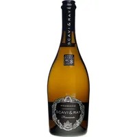Scavi & Ray Prosecco DOC Frizzante 10,5 % vol 0,75 l
