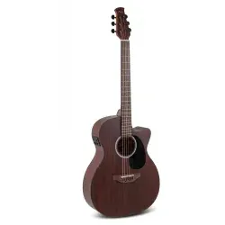 AEO96-M Orchestra Model Electro