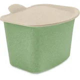 Koziol Bibo 3 l Nature Leaf Green