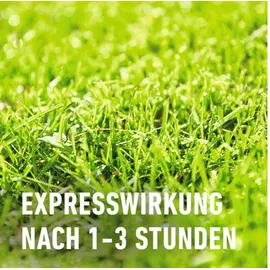 Compo Floranid Rasendünger Unkraut + Moos 9 kg