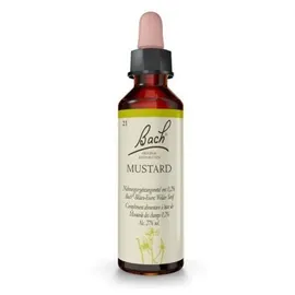 Nelsons Gmbh Bachblüten Mustard Tropfen