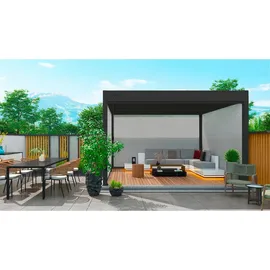 Weide Sonnenrollo für Weide Pergola Anthrazit