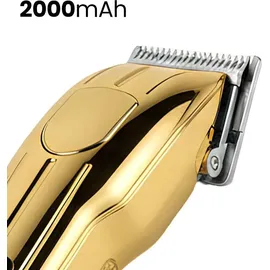 Avizar USB-C Haarschneider 2000mAh Gold