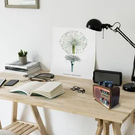 Retoo Retro Radio Bluetooth FM Kofferradio braun