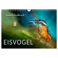 Calvendo Wunderschöner Eisvogel (Wandkalender 2026 DIN A4 quer), CALVENDO