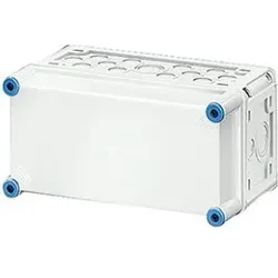 Hensel 2000007 Mi-Leergehäuse, Einbaumaße 275x125x146mm, nicht durchsicht. Deckel Mi 0101
