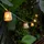 Licht-Erlebnisse Lichterkette Solar 5 m IP44 Bambus Schirme beige