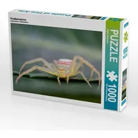 Calvendo Krabbenspinne (Puzzle)