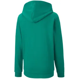 Puma Teamgoal 23 Casuals Hoody Jr Pullover, Pepper Green, 116